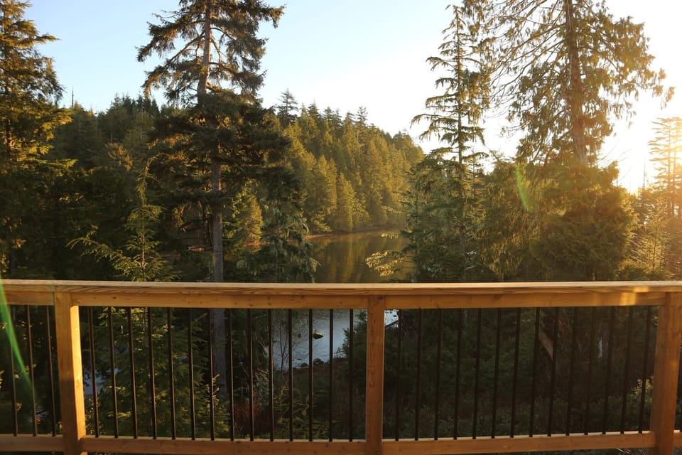 View in the morning