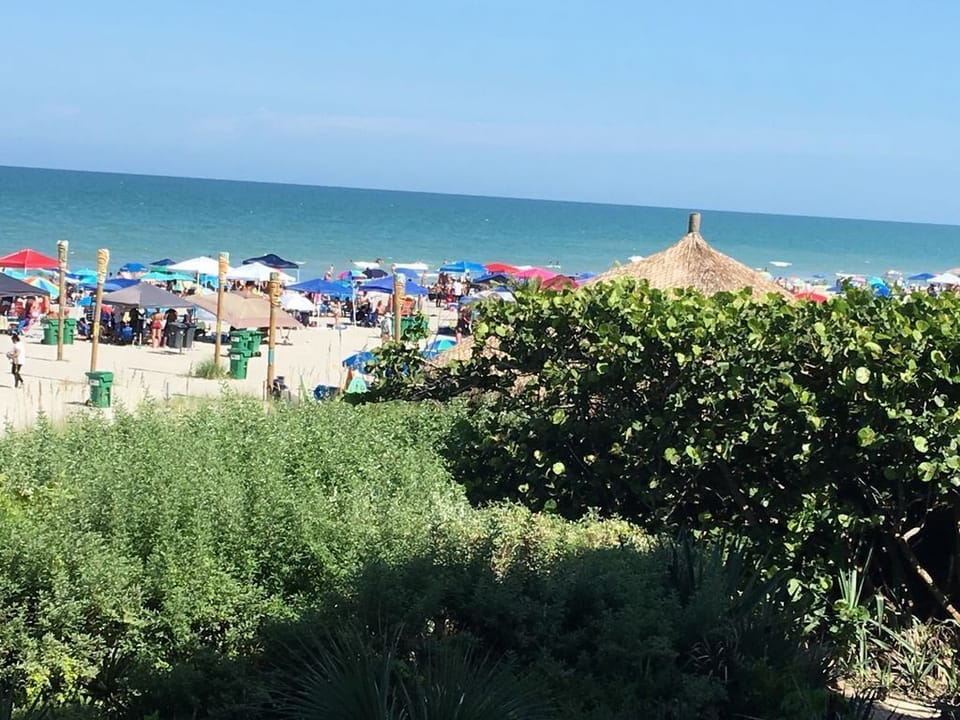 Back Yard Cocoa Beach