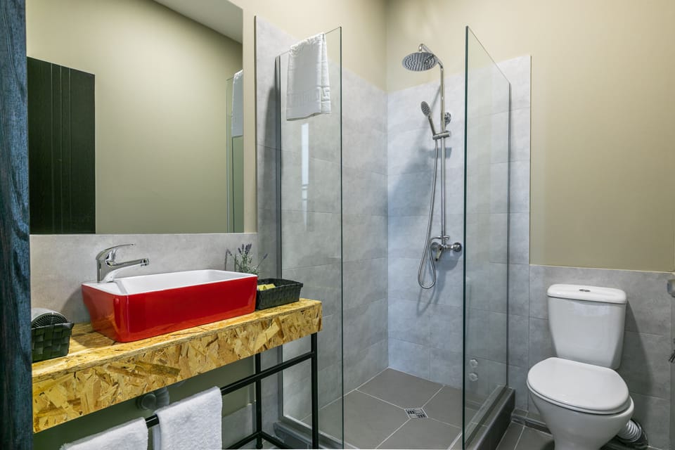 Deluxe Room, 1 King Bed, Terrace | Bathroom | Shower, rainfall showerhead, free toiletries, hair dryer
