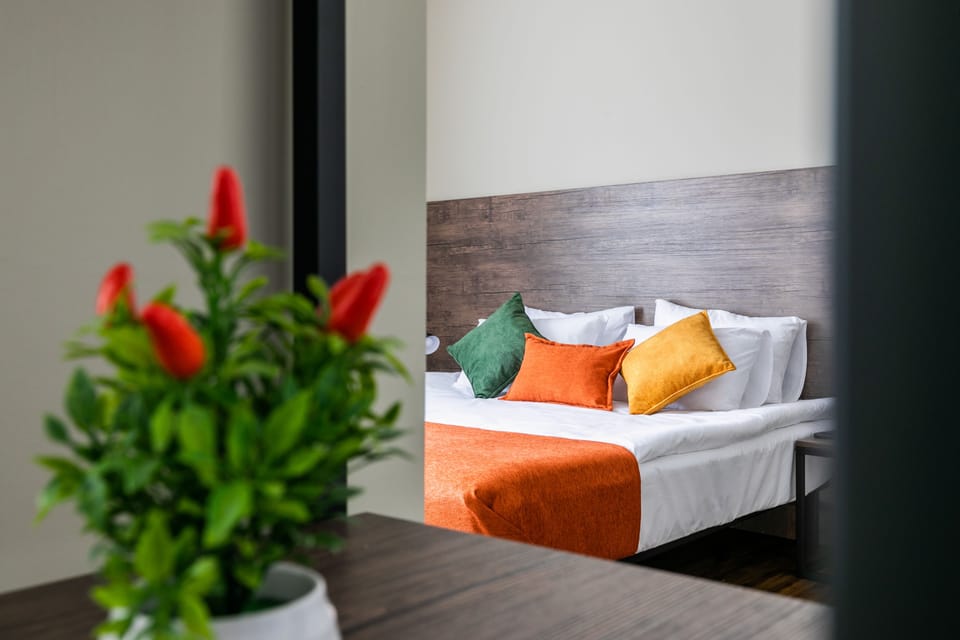 Deluxe Room, 1 King Bed, Balcony | Hypo-allergenic bedding, minibar, individually decorated, desk