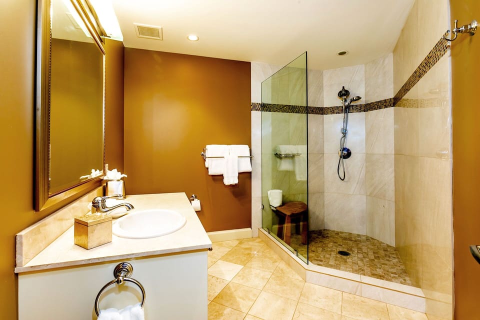 Guest Bathroom with Walk
