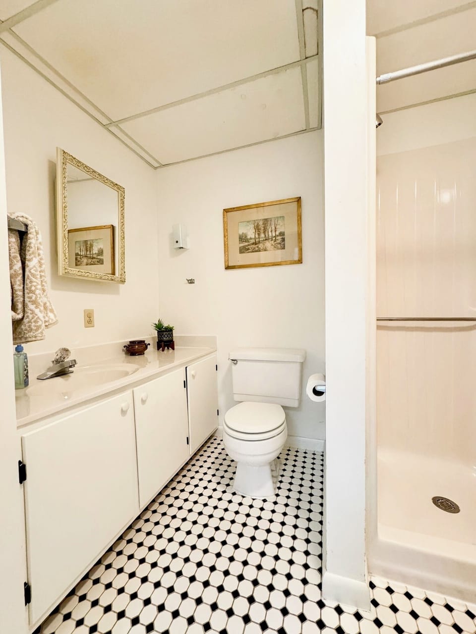 cute downstairs full bathroom 