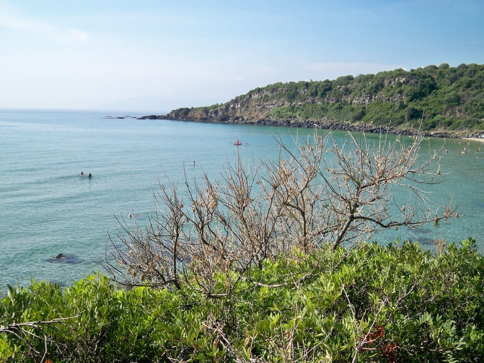 Beach