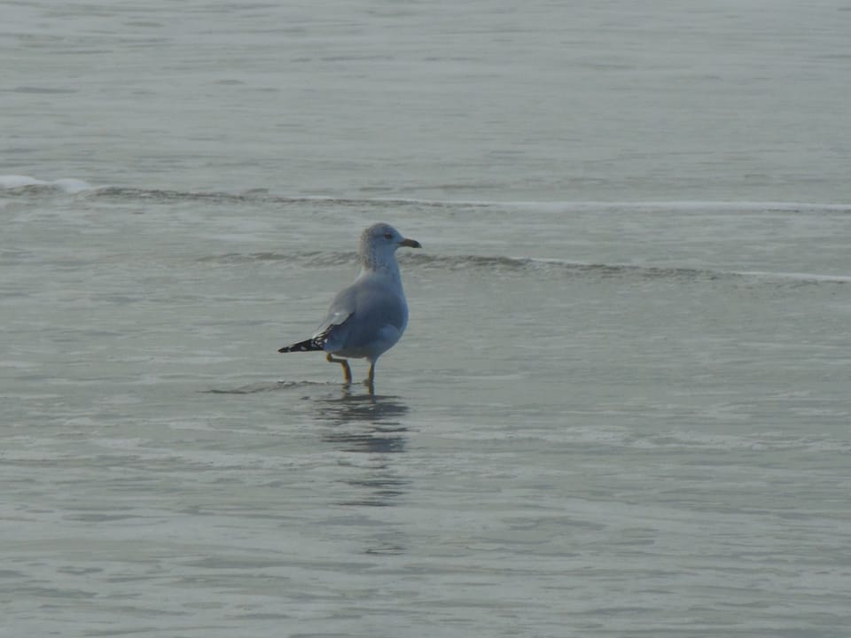 Enjoy the views and relax at the beach