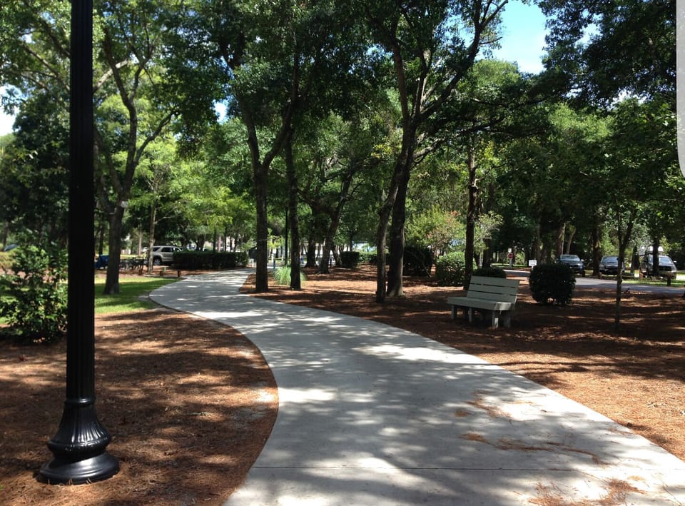 Beautiful Tree Lined Walkway to the Ocean