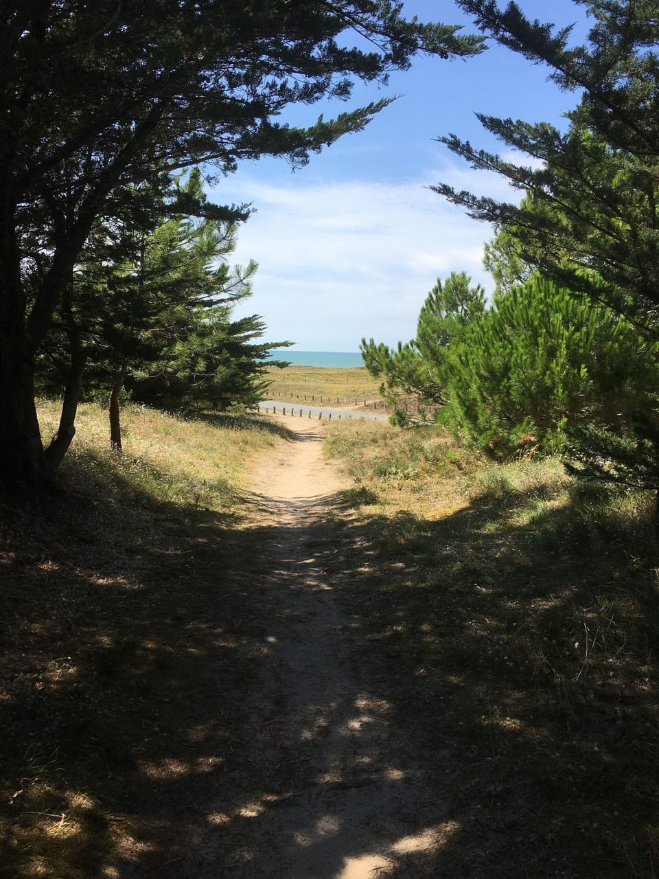 Beach