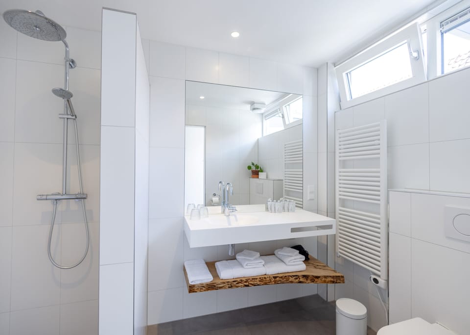 Shower, rainfall showerhead, free toiletries, hair dryer