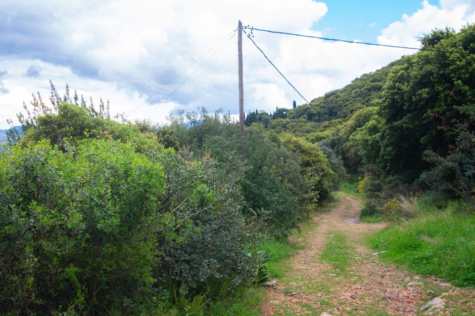 Hiking