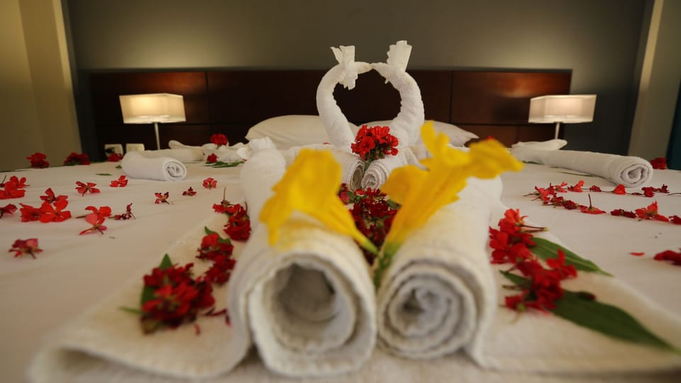 Single Room, 1 Bedroom, Garden View | Minibar (free items), desk, blackout drapes, WiFi (free)