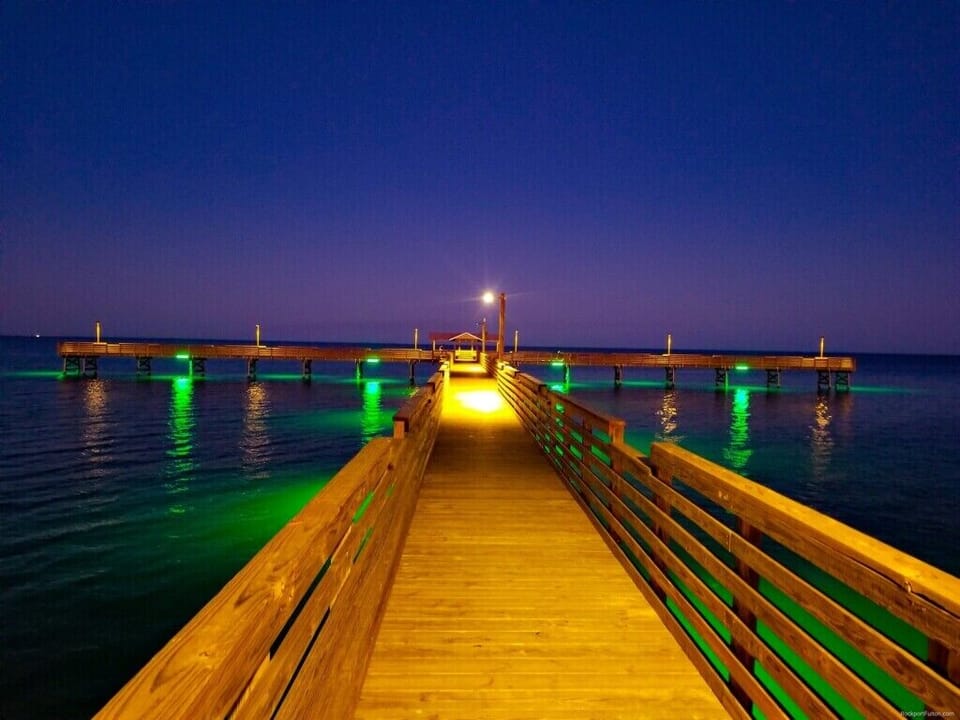 Fish Day or Night! Fulton Pier.
