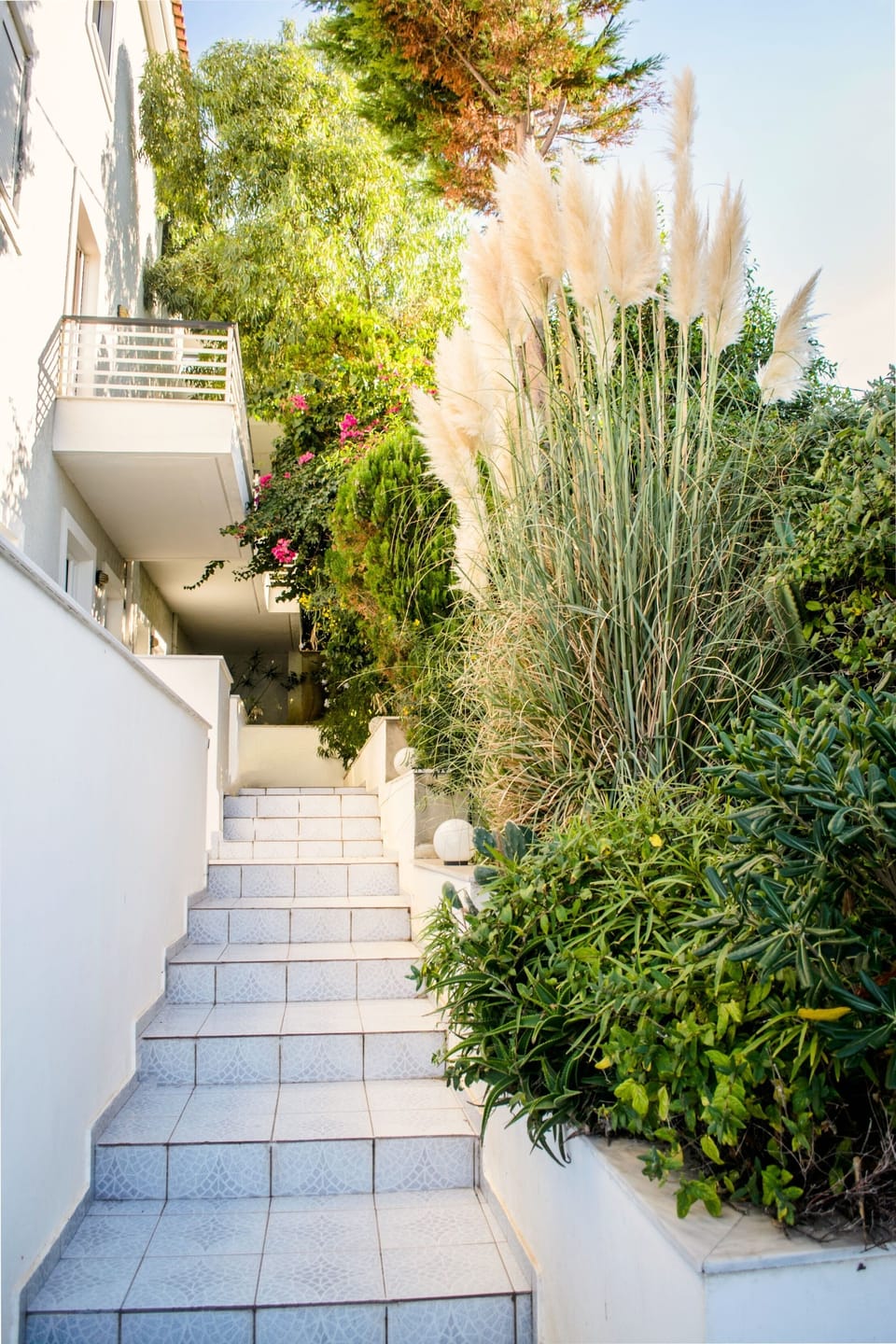 Next to the garden