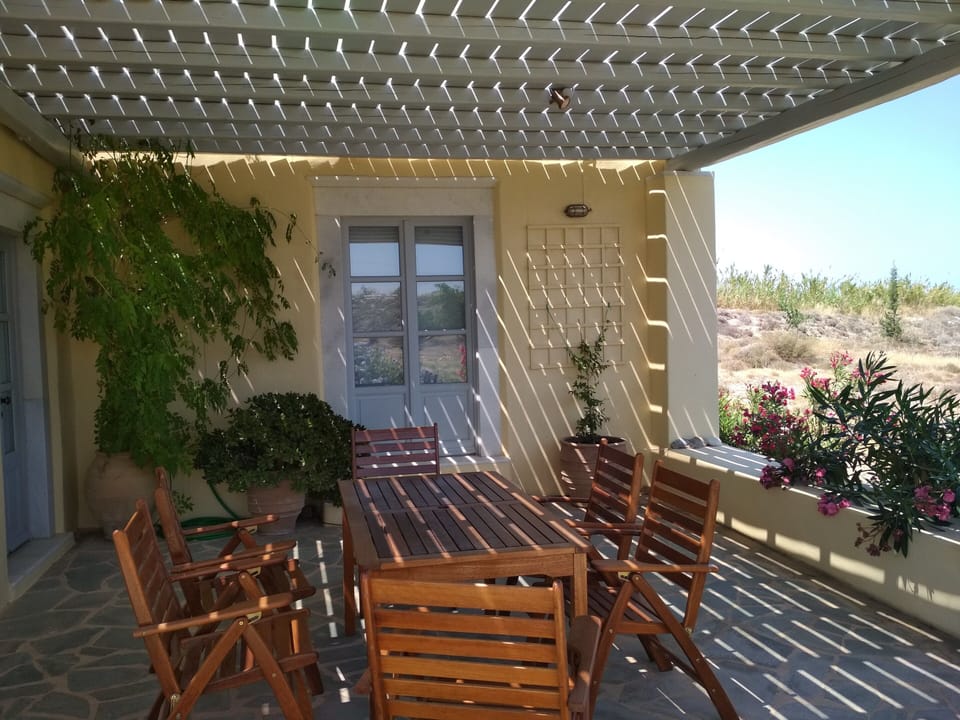 southern patio - pergola (facing east)