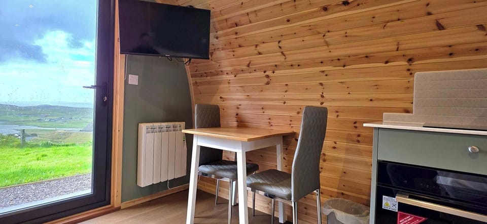 Flat-screen TV