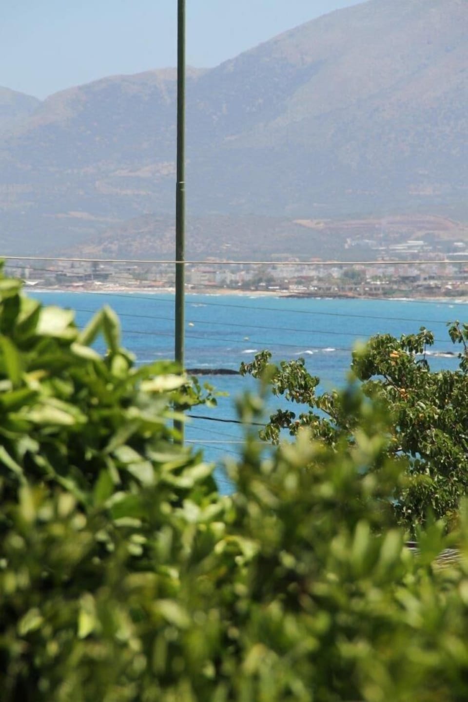 Sea view over the citrus trees