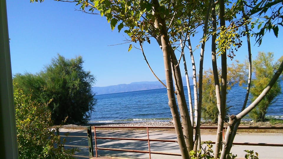 Beach/ocean view