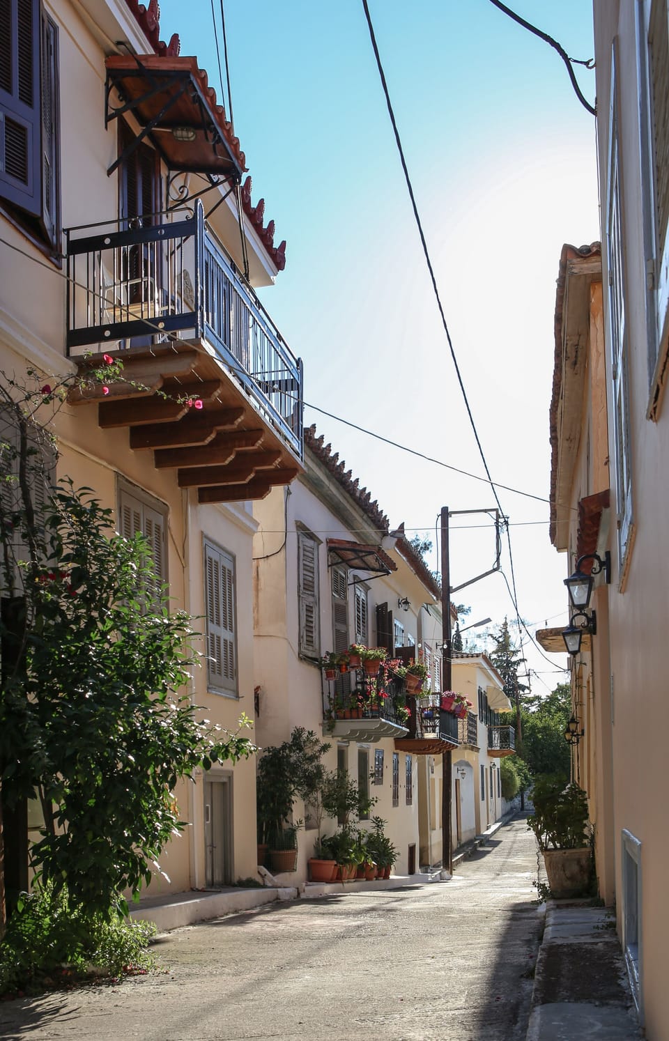 Our neighborhood