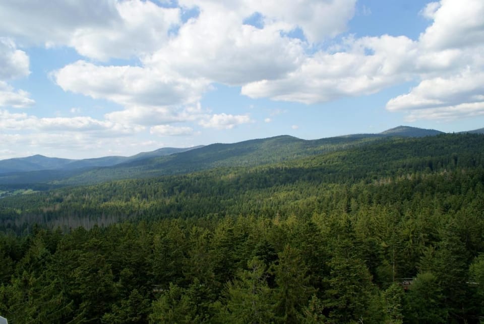 Hiking