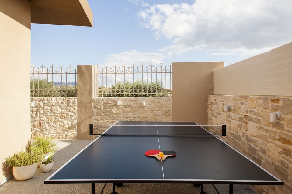 ping pong table