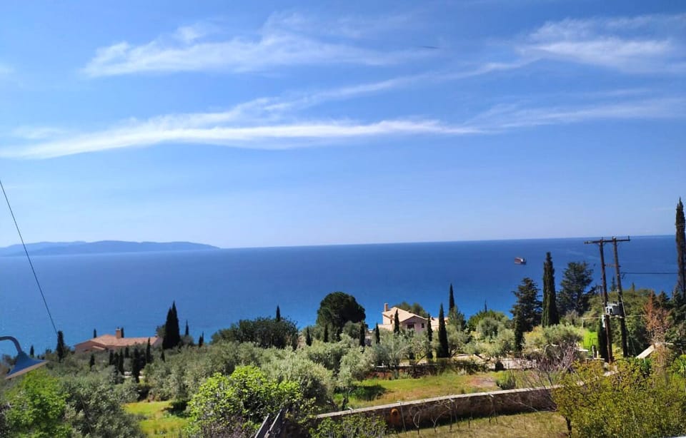 view 