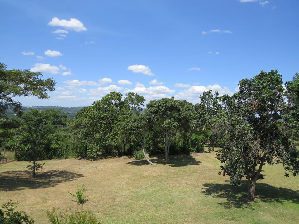 Gogo's Cottage | View from room
