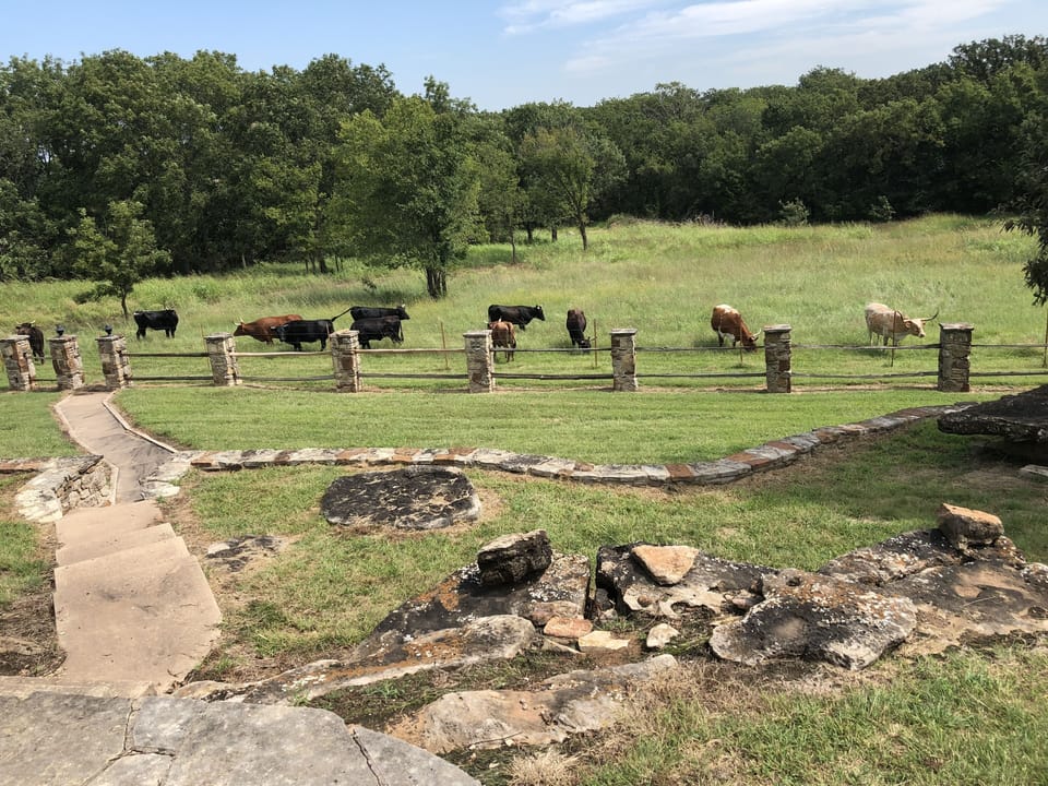 View from the front porch. 