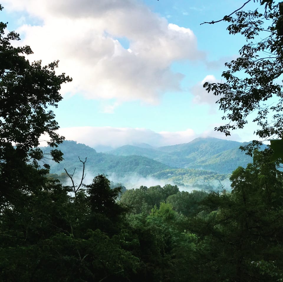 The view from the porch- also called bird paradise!