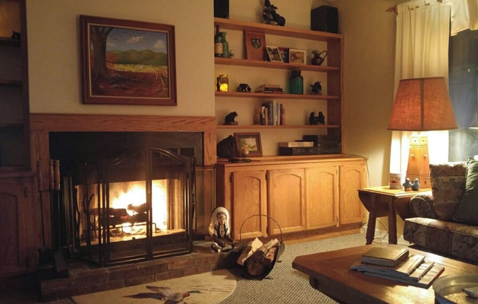 Living Room with games, videos, video games, books + fireplace & pull-out sofa 