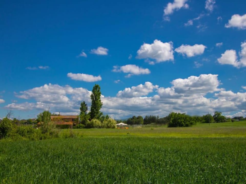 Place