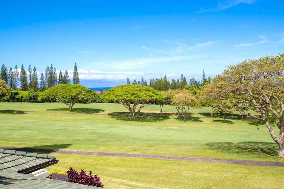 Classic island style with a modern twist — this room is serving aloha with a side of serenity