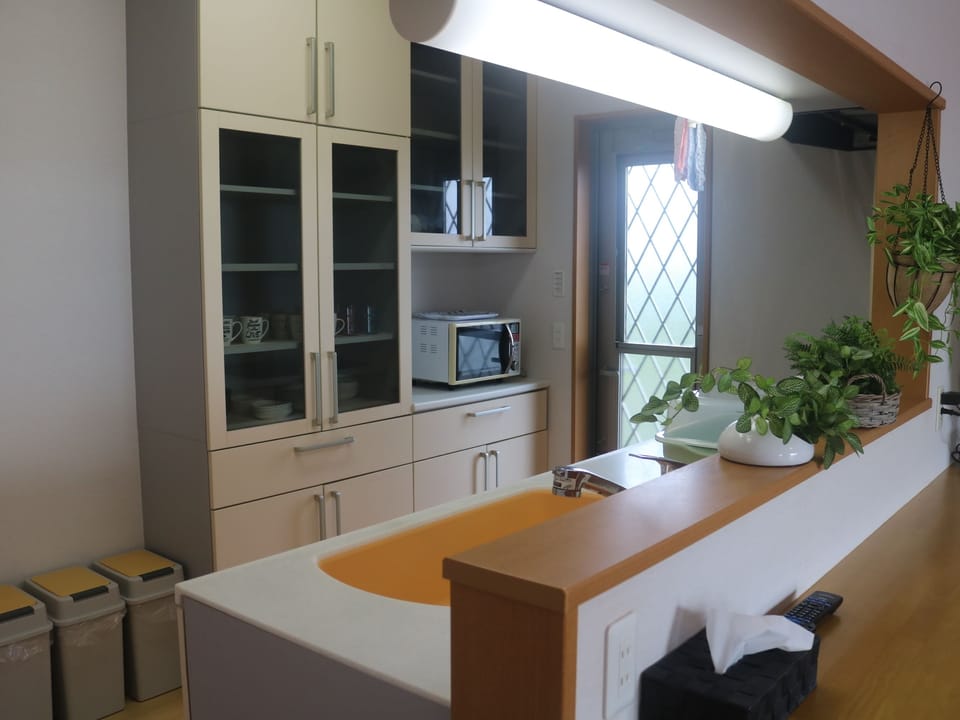 Private Vacation Home | Private kitchenette | Fridge, microwave, stovetop, electric kettle