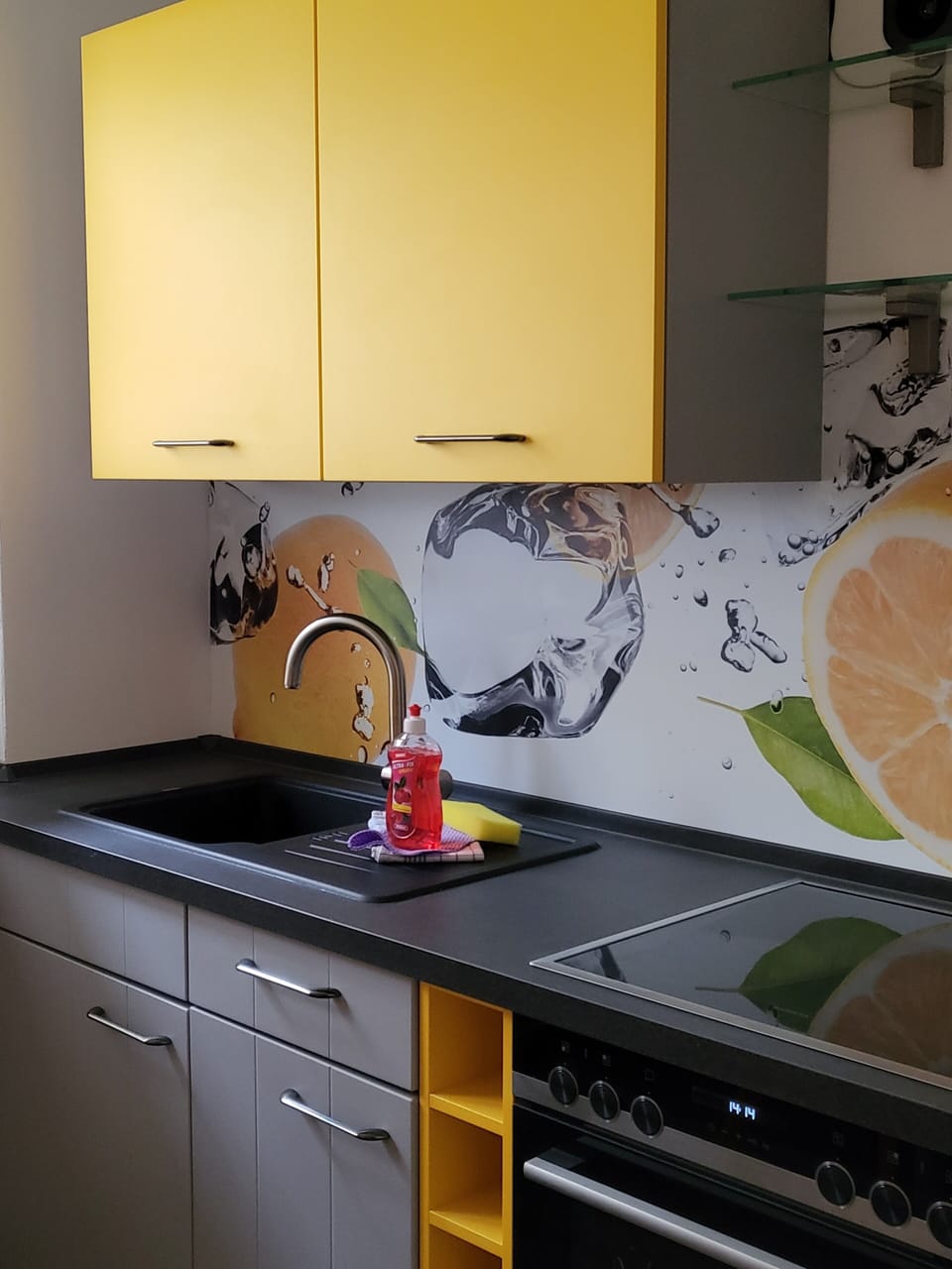 Full-size fridge, microwave