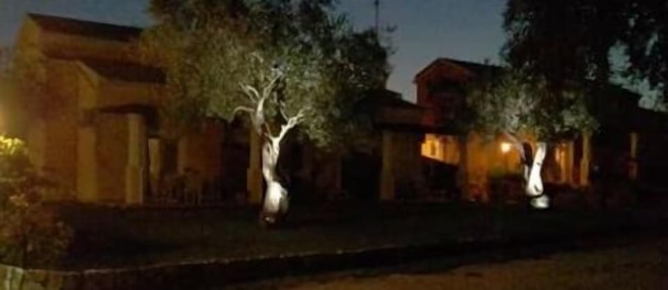 Front of property - evening/night