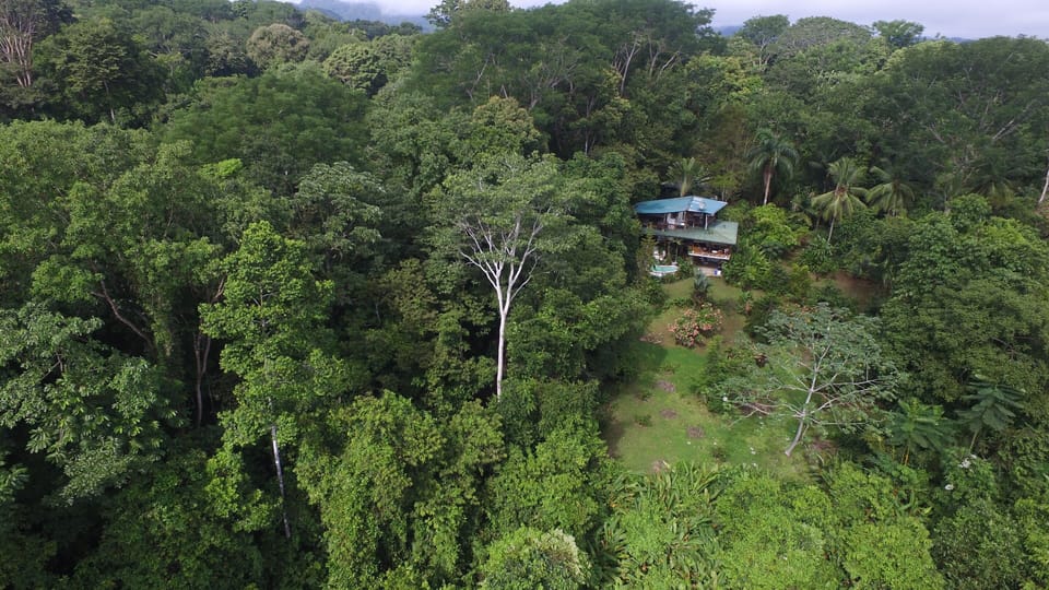 Near Corcovado National Park, just 10 minutes north of Puerto Jimenez. 
