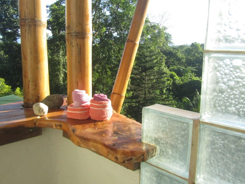 outdoor shower - full monty to gulfo dulce- no lights-no neighbors, just monkeys