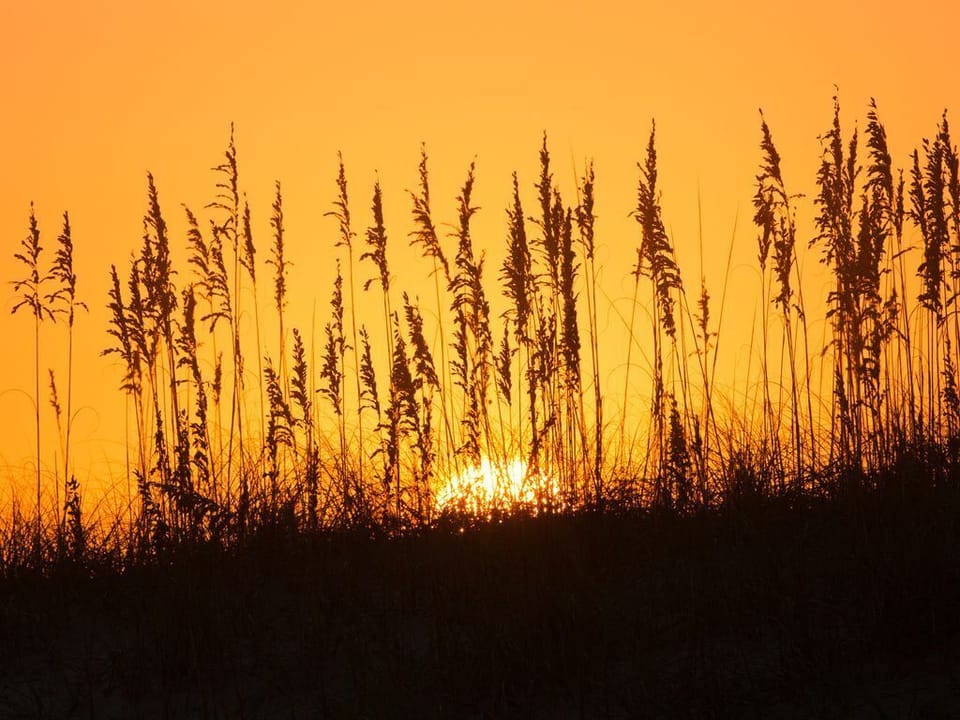 World-Class Sunsets & Sunrises!
