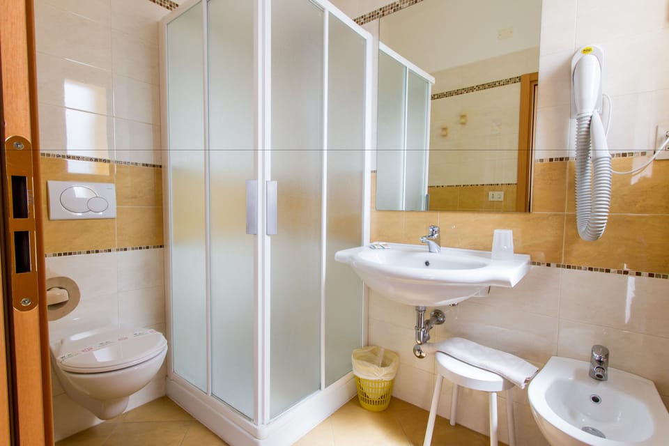 Shower, hair dryer, bidet, towels