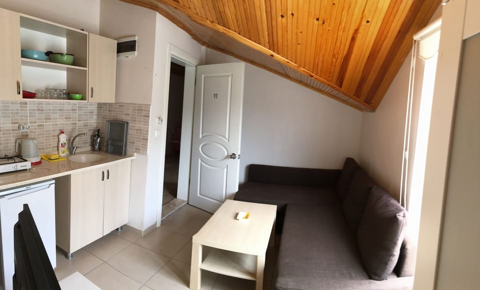 Basic Loft | Desk, soundproofing, iron/ironing board (on request), WiFi (free)