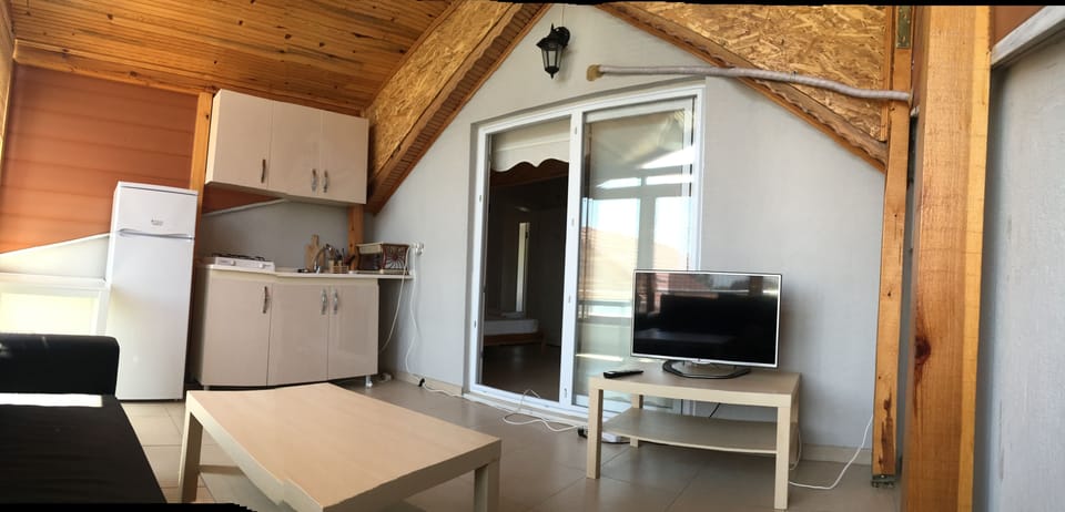 Basic Penthouse | Desk, soundproofing, iron/ironing board (on request), WiFi (free)