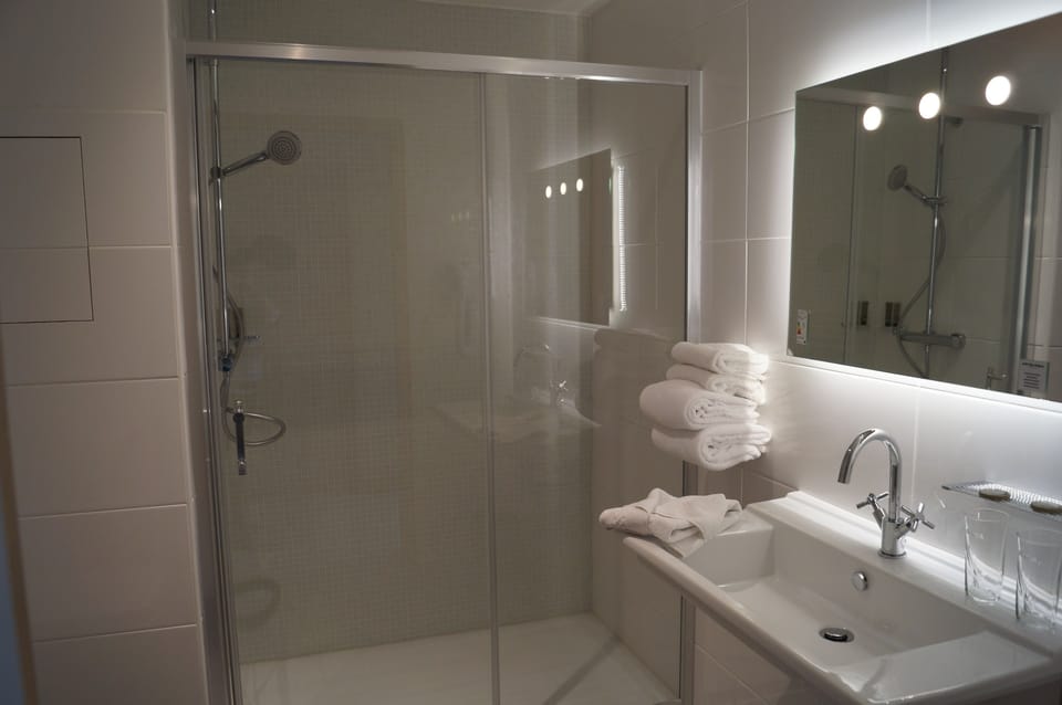Double Room (vue Rhone) | Bathroom | Shower, hydromassage showerhead, eco-friendly toiletries, hair dryer