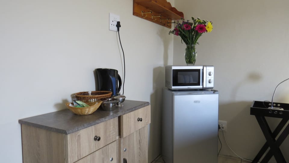 Twin Room, 2 Twin Beds | Private kitchen | Fridge, microwave, electric kettle, cookware/dishes/utensils