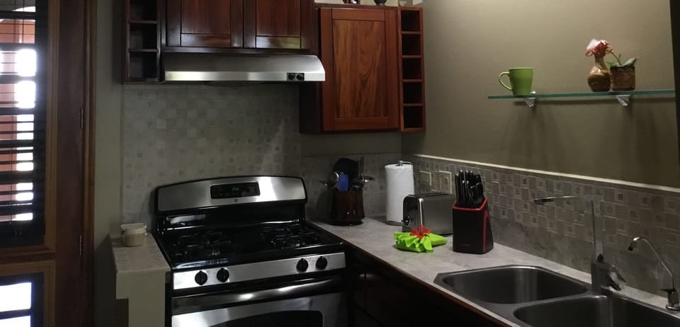 Deluxe Villa, Kitchen, Mountain View (#5 Ground Floor) | Private kitchen | Fridge, microwave, oven, coffee/tea maker