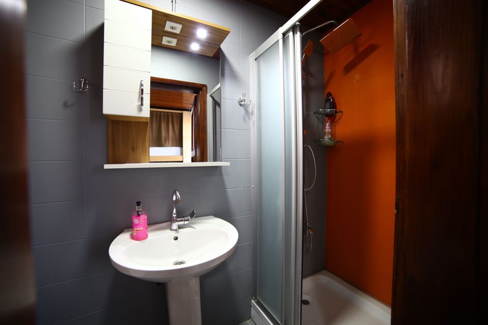 Shower, hair dryer, slippers, towels