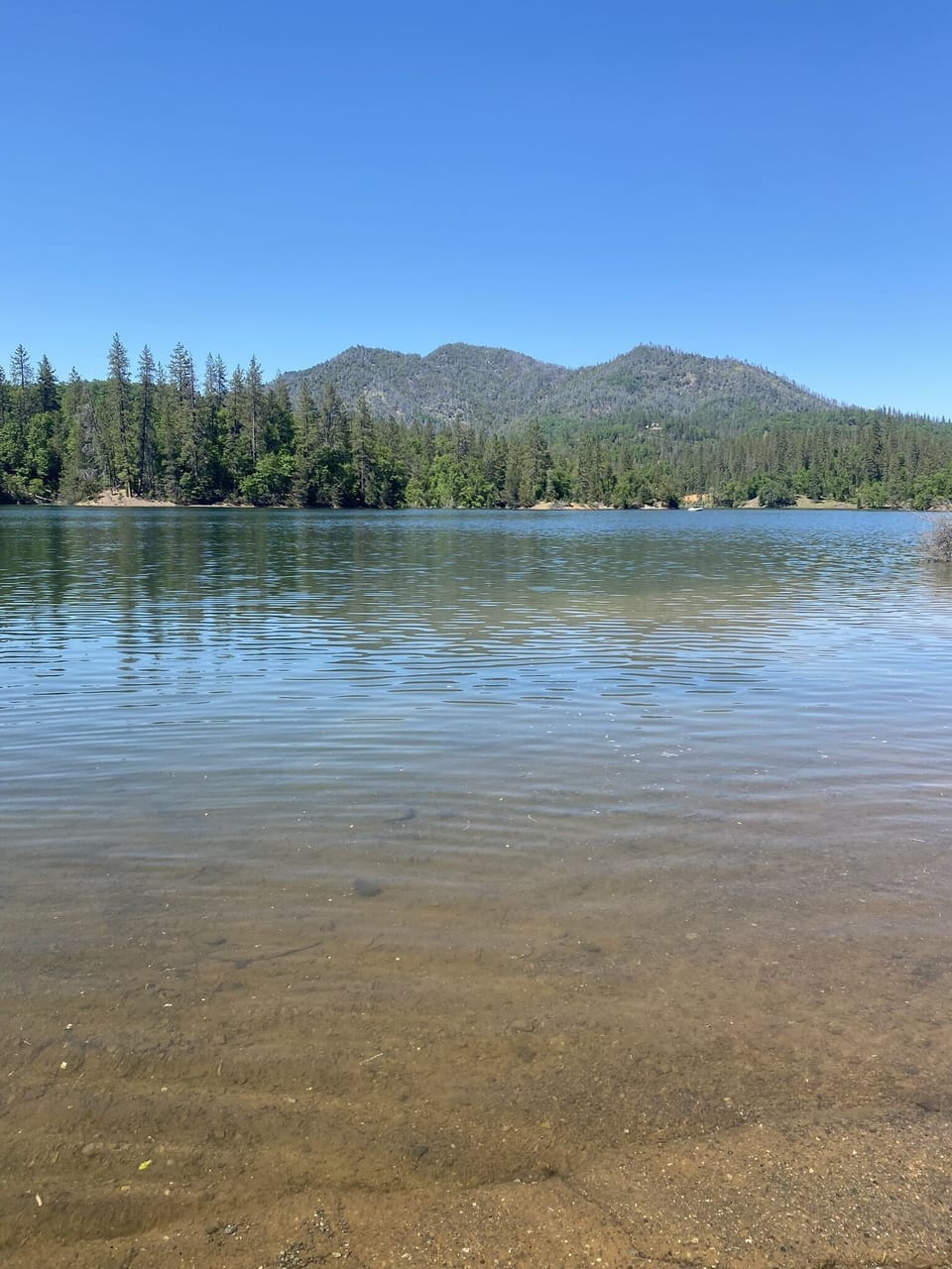 Beehive campground 2023