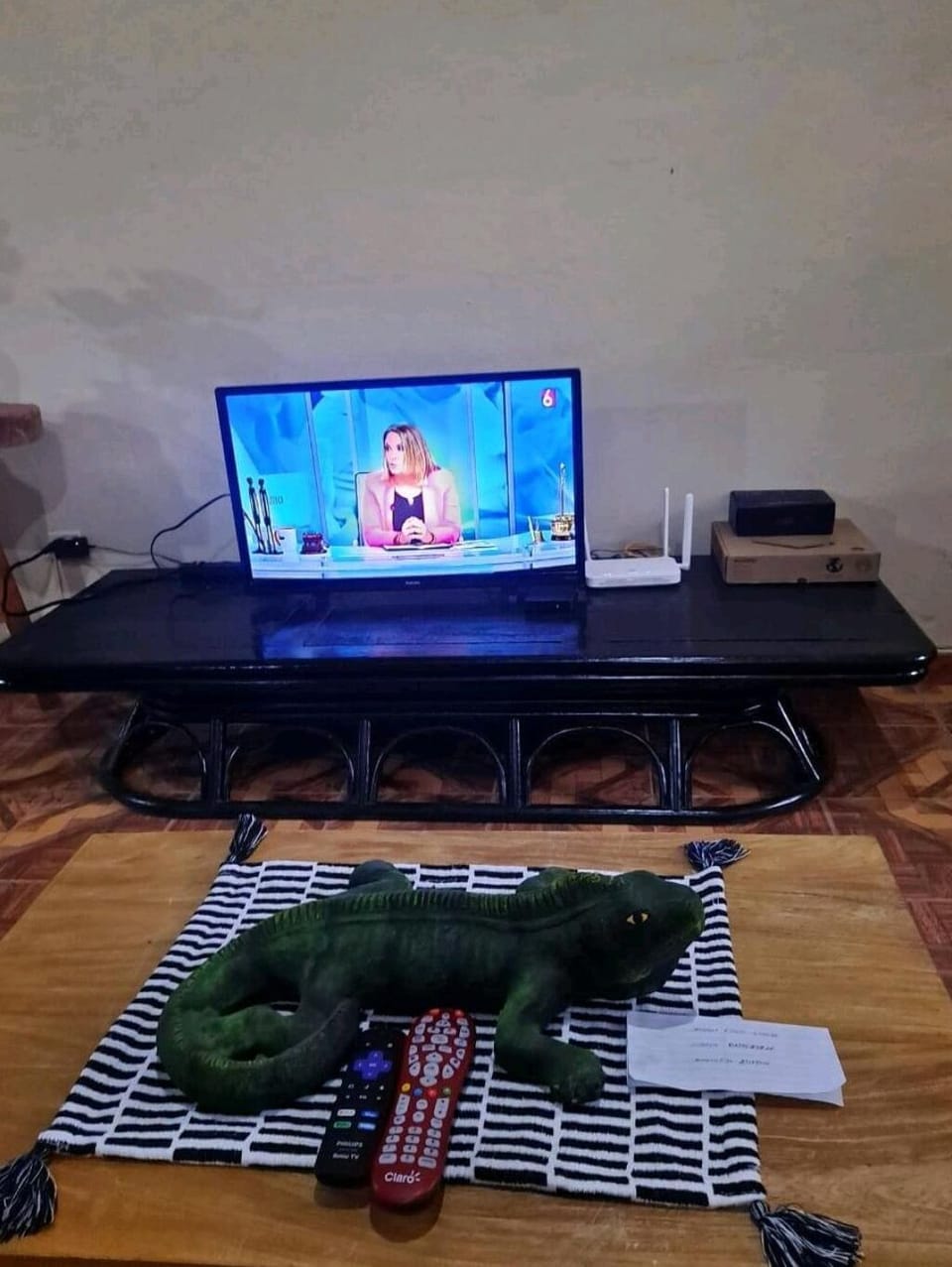 Television