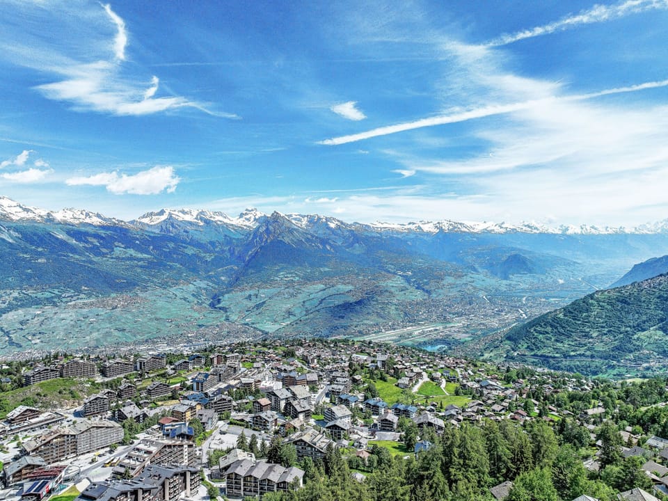 View