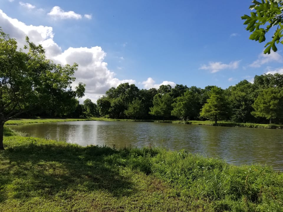 Lake