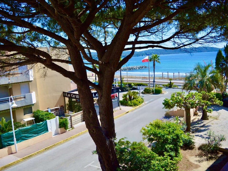 Beach/ocean view