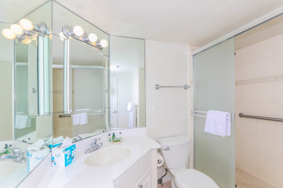 Full bathroom, with grab bar on the inside