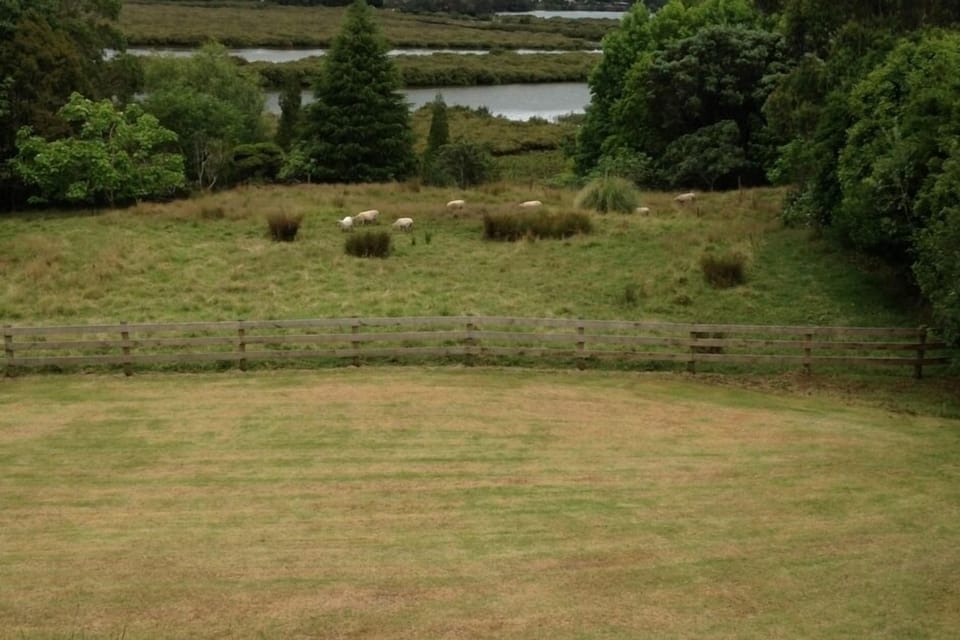 Grounds