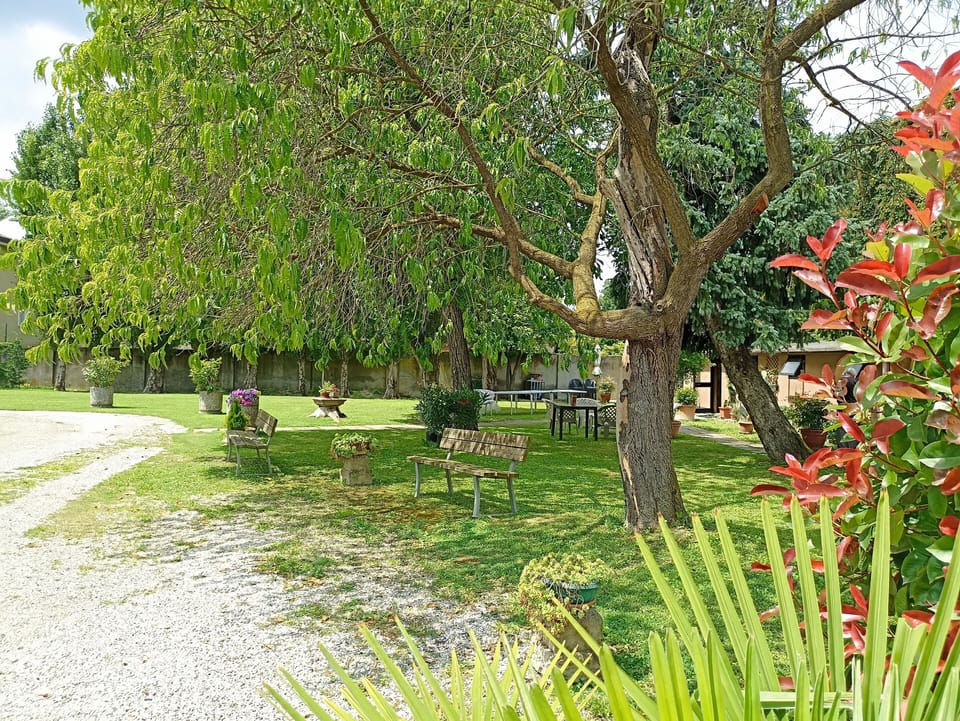 view of the park